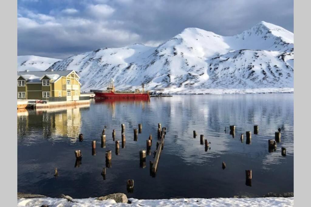 House With A Warm Soul In North Iceland Siglufjordur Exterior photo